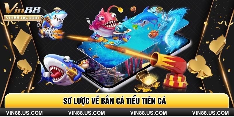 Sơ lược về bắn cá tiểu tiên cá
